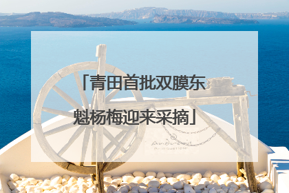 青田首批双膜东魁杨梅迎来采摘